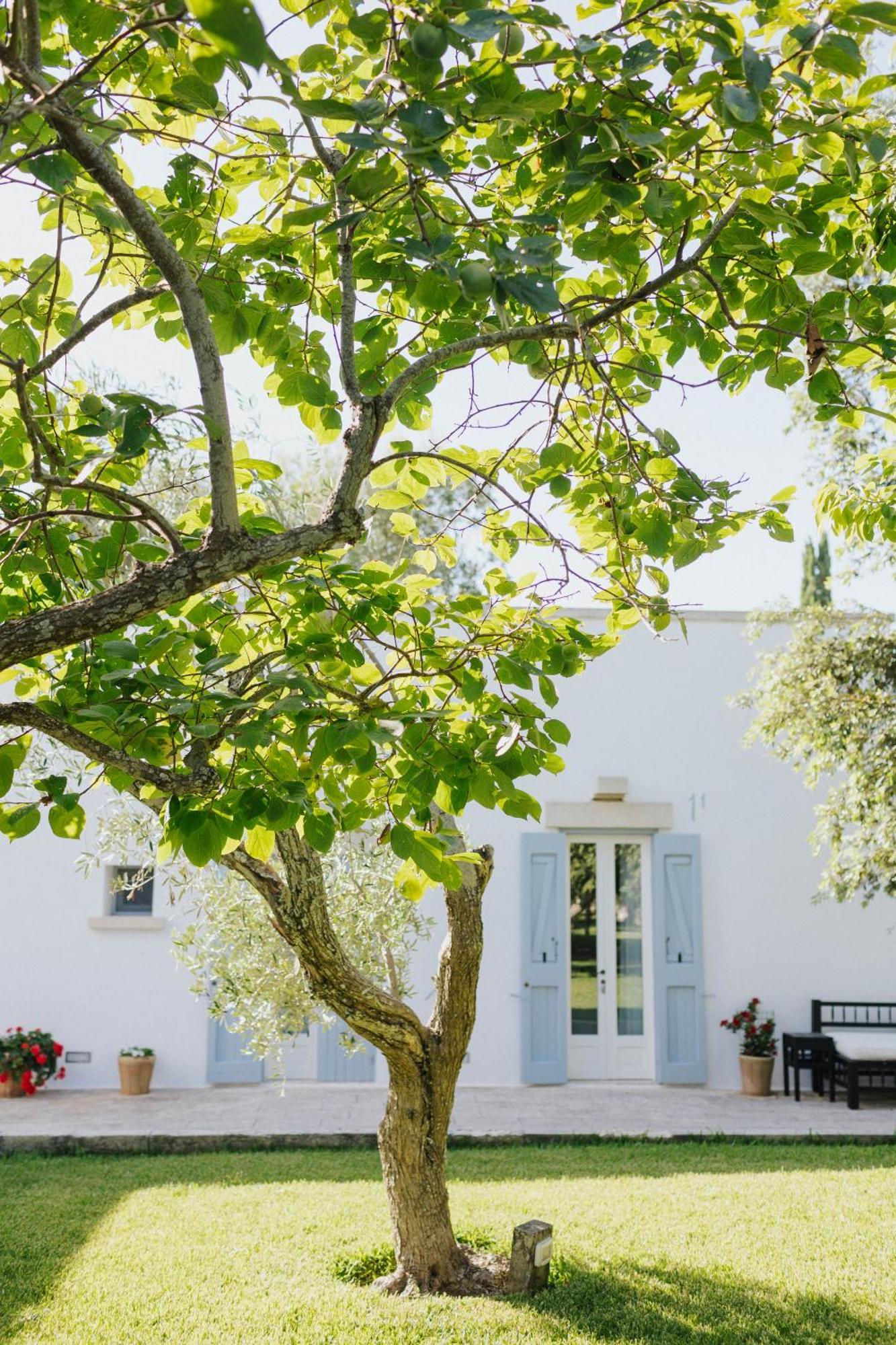 Masseria Montelauro Otranto Exterior photo