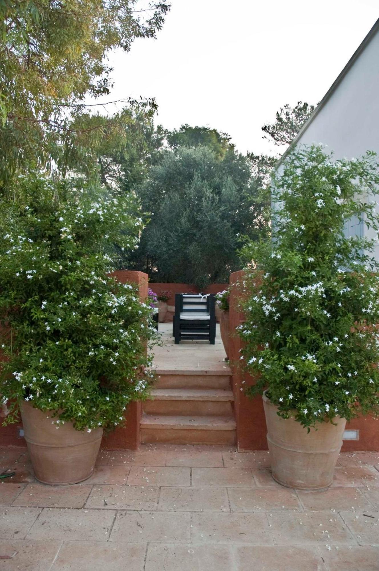 Masseria Montelauro Otranto Exterior photo